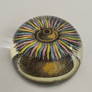 JOHN DERIAN Glass Dome Paperweight Decoupage Sea Anemone Decor Handmade